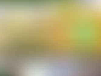 Warner Family Sports Foundation Golf Classic,