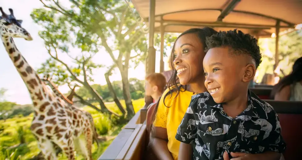Pacotes de Viagem para conhecer a Disney em Orlando com aéreo, hotel e ingressos - Primo Travel