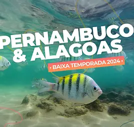 Pacote Pernambuco e Alagoas