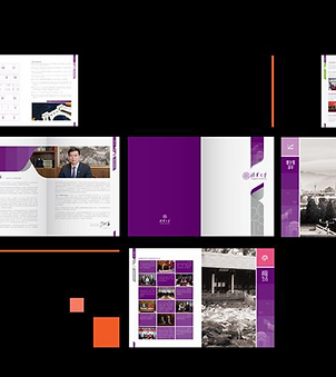 Tsinghua University Annual Report.png