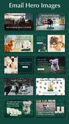 Email Hero Images