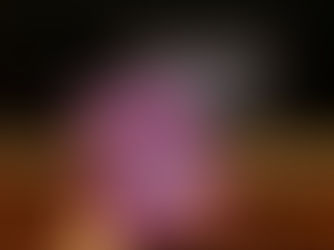 The Toronto Chinese Film Festival Takes the Stage for the First Time