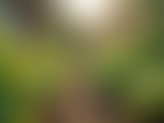 The Importance of Sustainable Living in Today's World