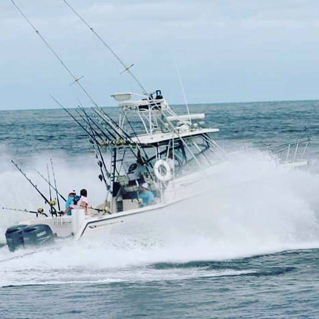 Boats Past Life in the Gulf Bill-Fishing Oil Rigs