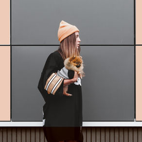 Mascotas: Cuidados frente al frío