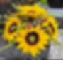 Screenshot_20240408_224250_Etsy Seller (1).jpg