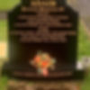 iap_640x640.6399926587_d56u21ph.jpg
