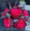 Screenshot_20240408_230429_Etsy Seller.jpg