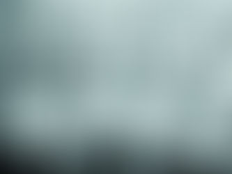 The United Confederate Veterans