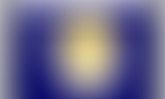 South Carolina College And It's Confederate Generals