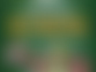 Community Support Program: Best Practices in Eastern Mindanao Command AOR