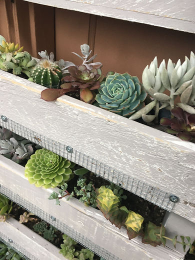 pallet planter.jpeg
