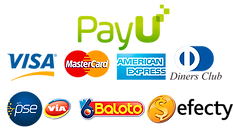 metodos de pago curso de facebook ads