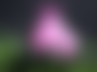 Plantera Environment Completed!
