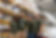 iStock-2185128183.jpg