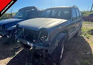 piezas de LIBERTY 2002 (12/23) en JUNKER KENNY