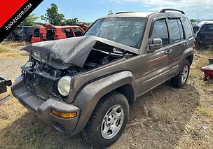 piezas de LIBERTY 2002 (6/23) en JUNKER KENNY