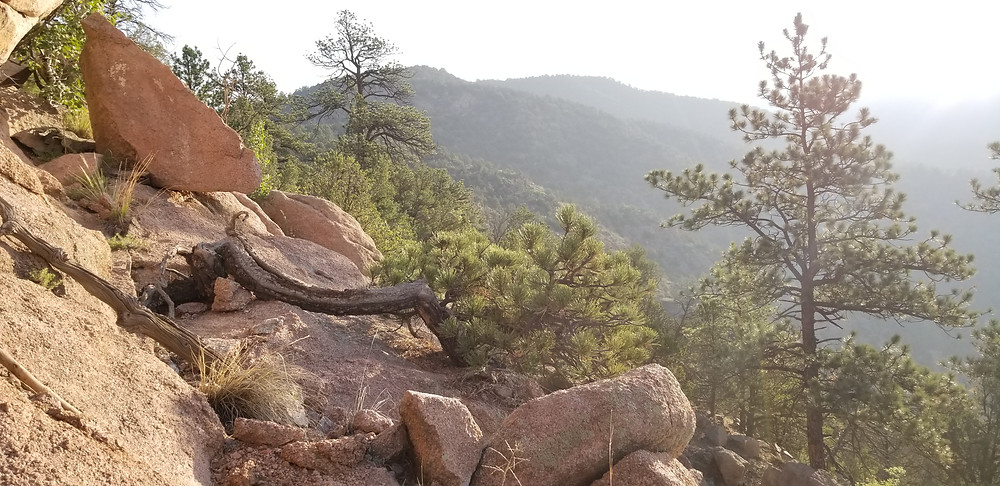 Colorado Wilderness