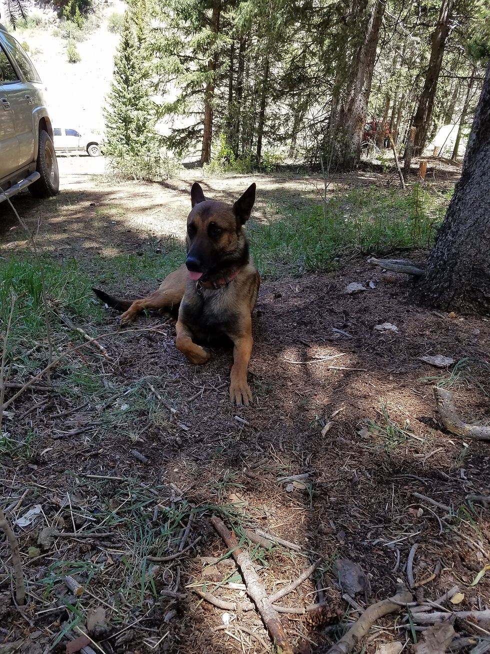 ​June 2018 - 5 Day Outdoor Survival