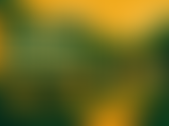 Protecting Lucasville: Our Homes, Our Heritage, Our Voice