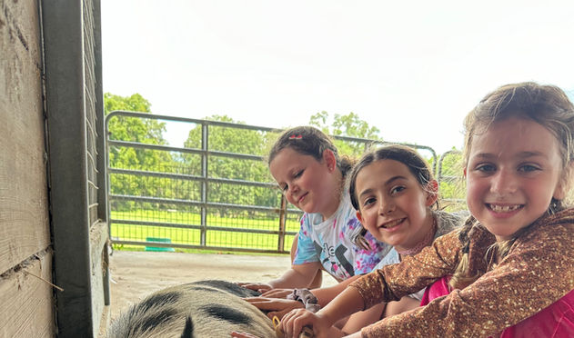 Three girls petting a pig; smiling and enjoying time at the farm.