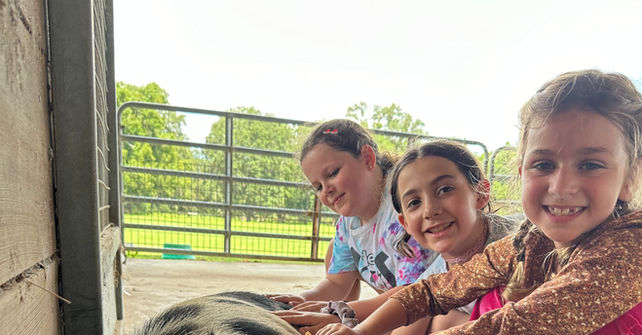 Three girls petting a pig; smiling and enjoying time at the farm.