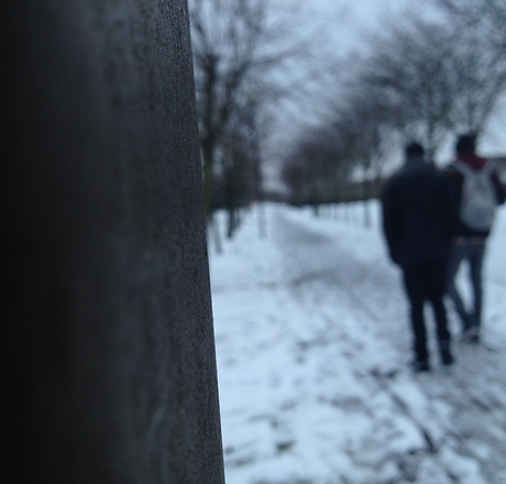 Jewa photos.png