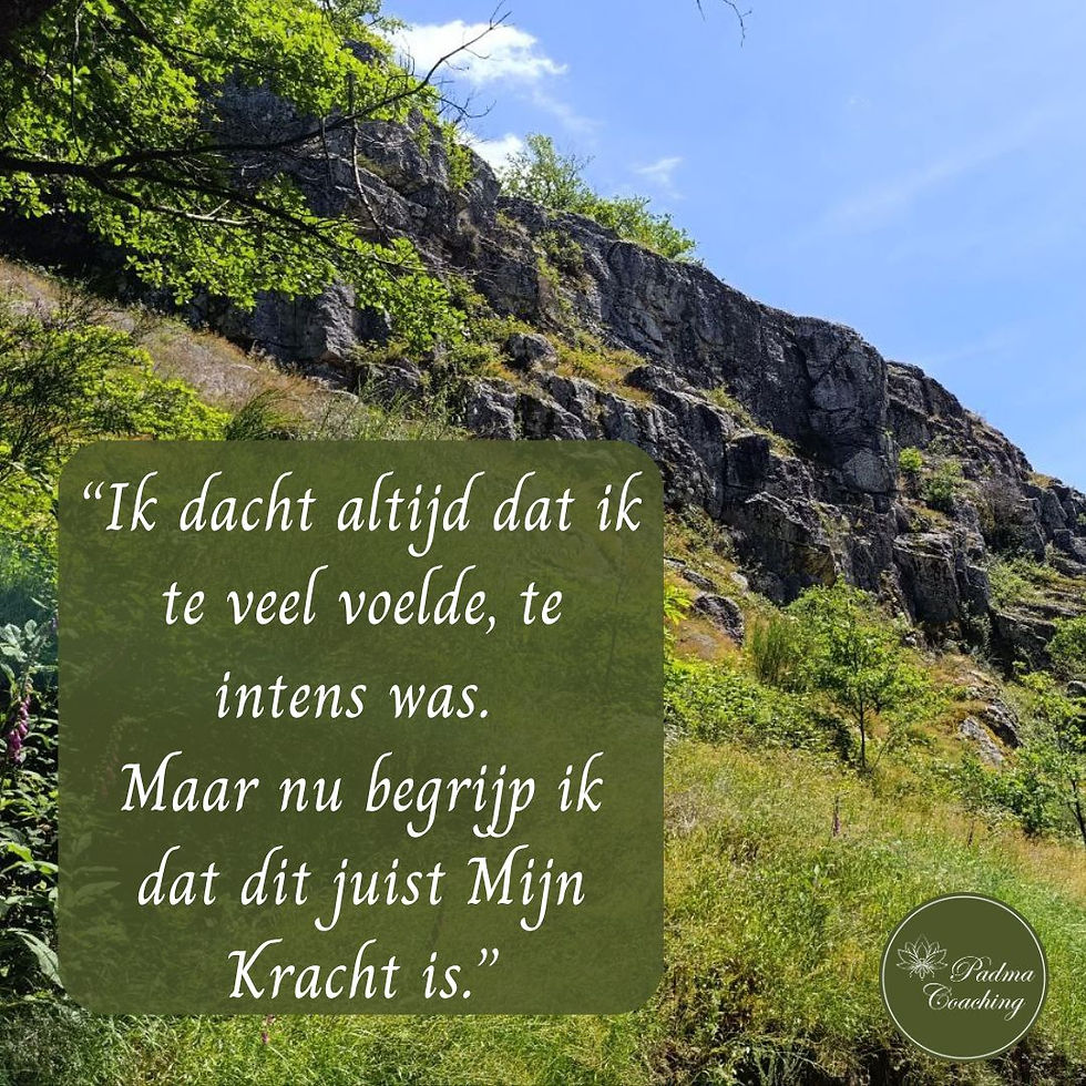 Blog - Ik dacht altijd dat ik te veel voelde, te intens was. Maar nu begrijp ik dat dit juist mijn kracht is - Padma Coaching