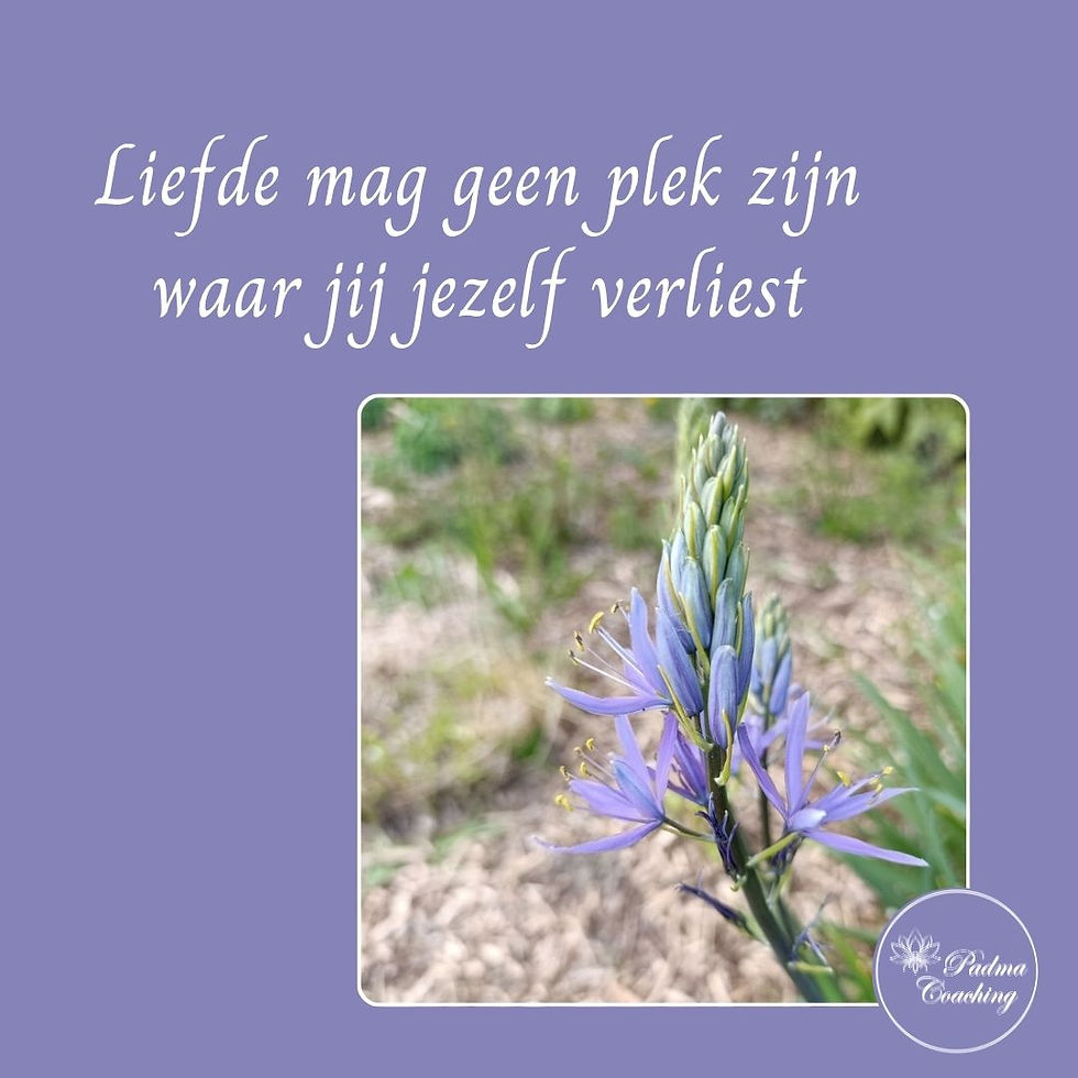 Een ontluikende bloem in zachte belichting als symbool voor liefde waarbij je jezelf verliest en wacht op erkenning