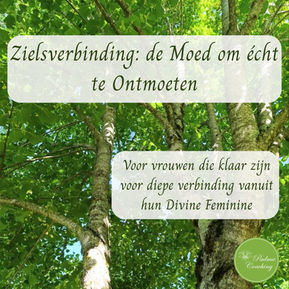 Zielsverbinding: de moed om écht te ontmoeten
