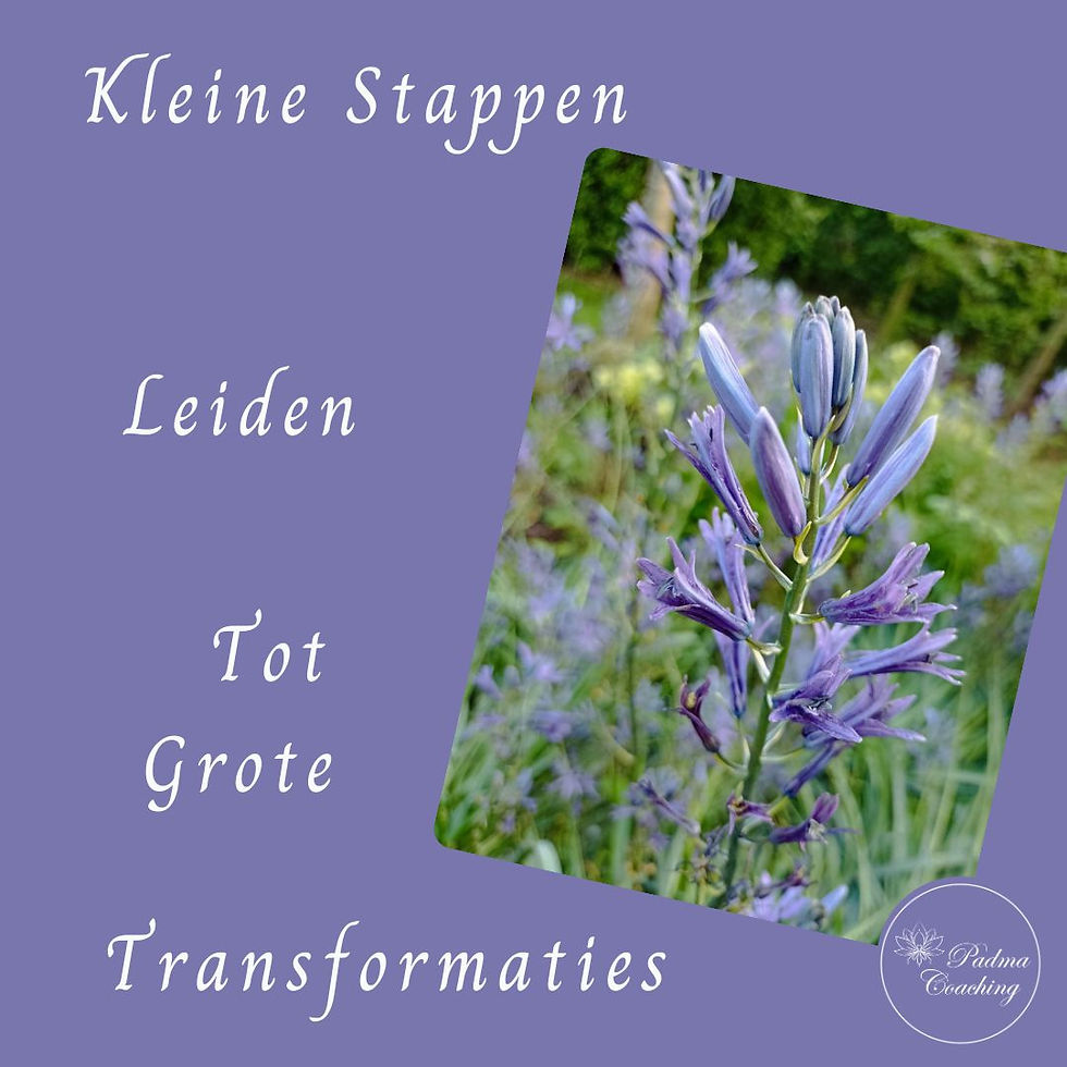 Blog - Sleutels tot Zielsgroei: De Transformerende Kracht van S-woorden - Padma Coaching