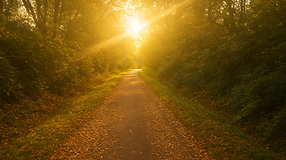 Zonovergoten bospad in de herfst.png