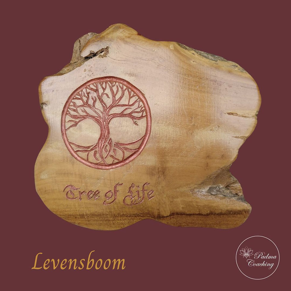 spirituele betekenis Levensboom