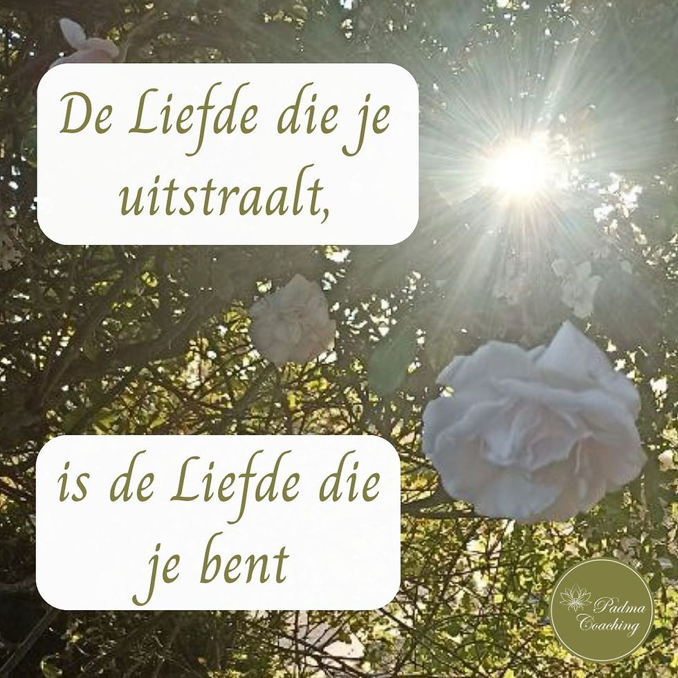 Liefde Energie en Verbinding