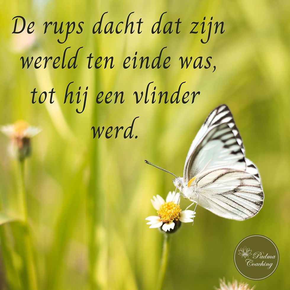 Blog - Er is Niets dat Ik Niet Aankan: Jouw Reis naar Onbegrensde Zelfovertuiging - Padma Coaching