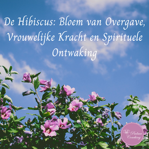 De Hibiscus: Bloem van Overgave, Vrouwelijke Kracht en Spirituele Ontwaking 
