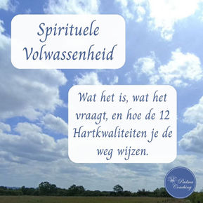 Spirituele Volwassenheid