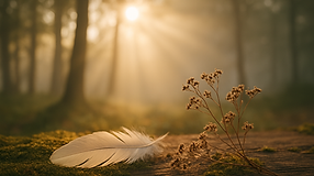 Kaartleggingen Padma Coaching