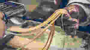 Pastalinda