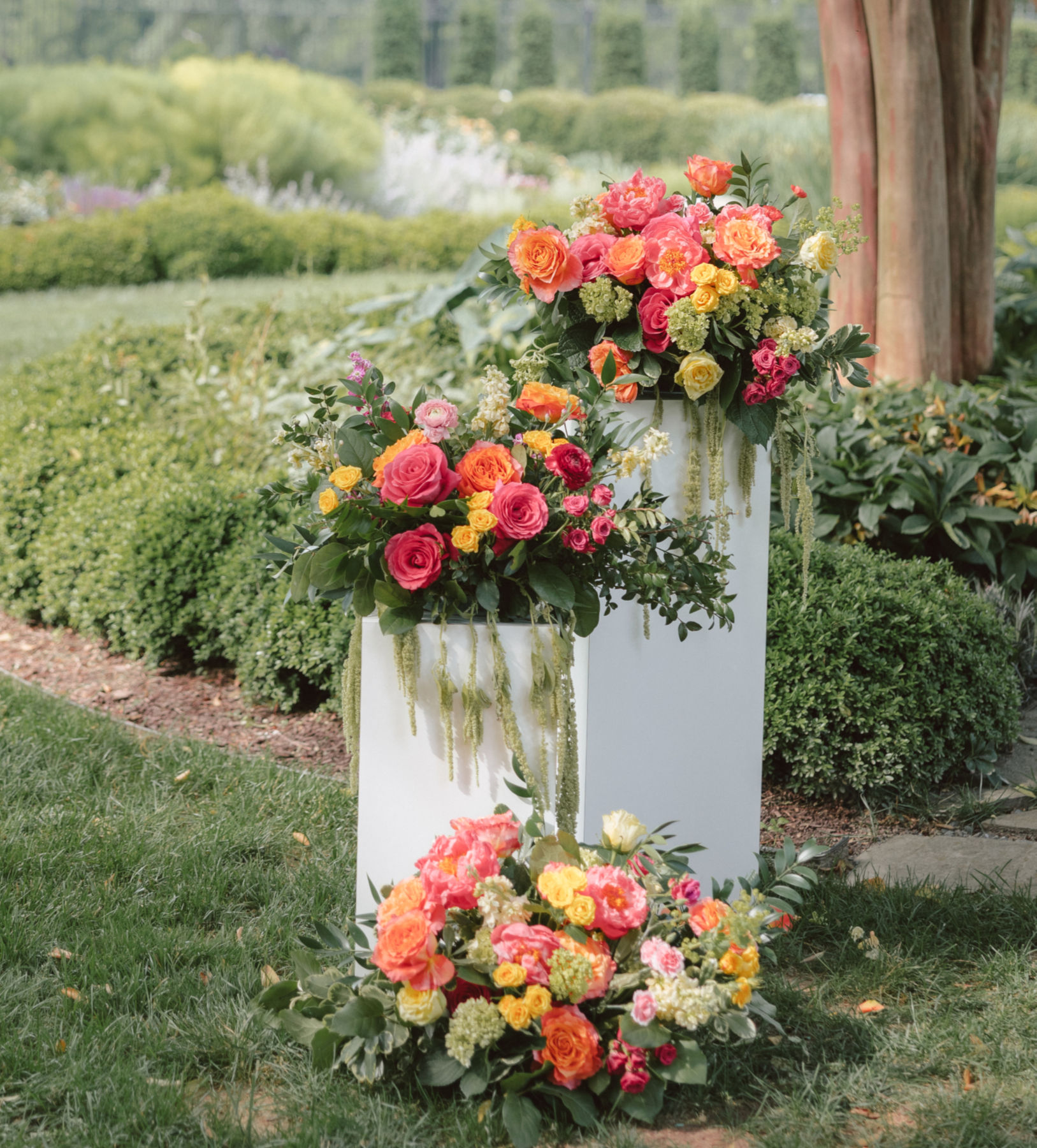 Focal Arrangement