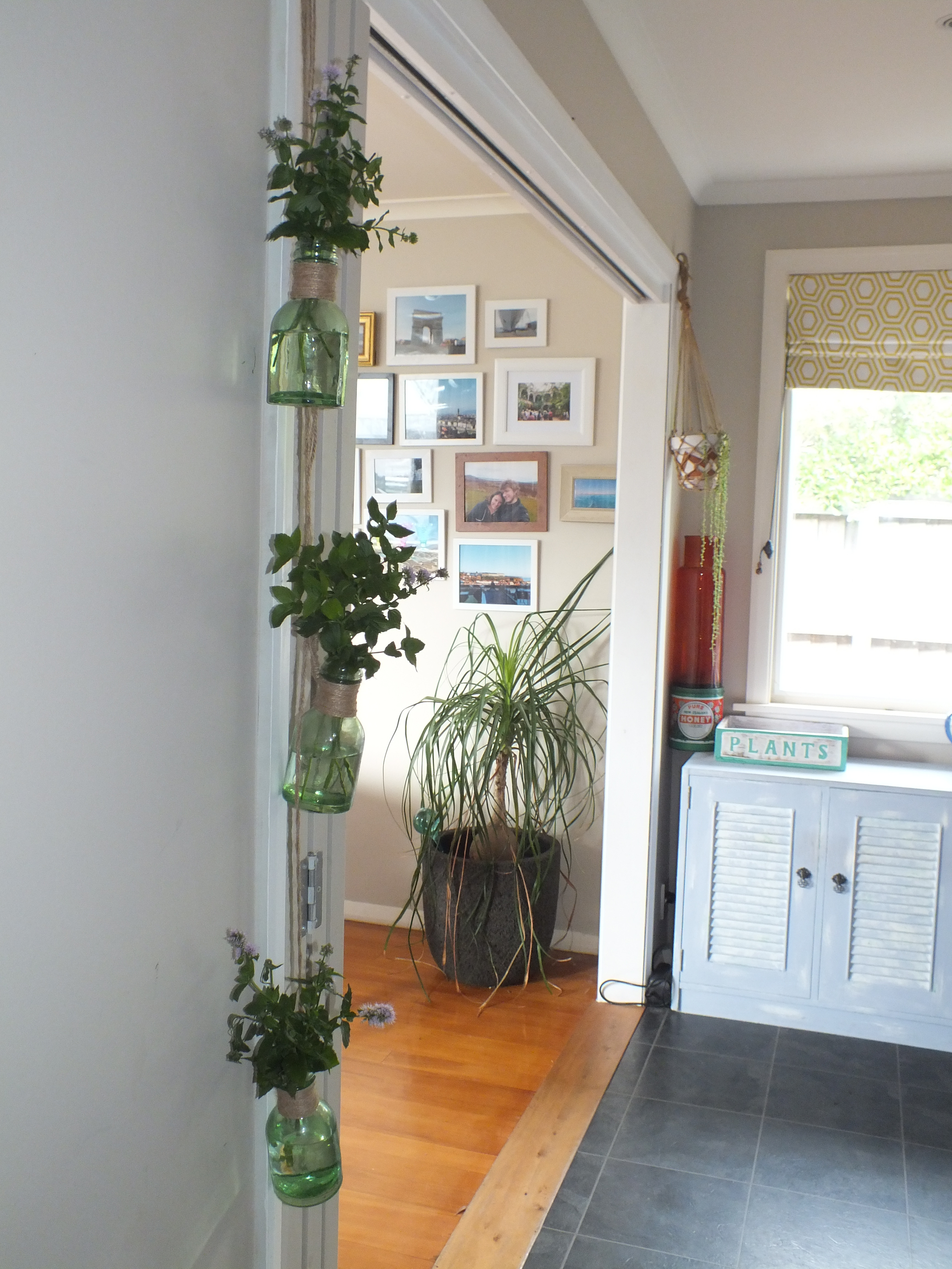 Hanging Glass Bottles