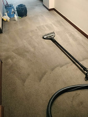 strata-corridor-carpet-cleaning-stainremove-sydney.jpg