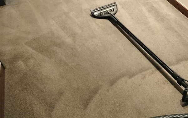 strata-corridor-carpet-cleaning-stainremove-sydney.jpg