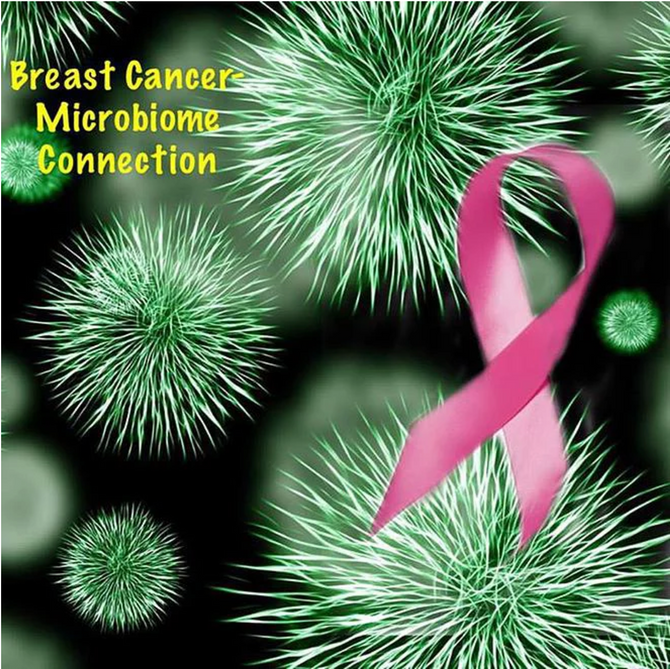 Are Your Gut Bacteria Putting You At Risk For Breast Cancer?