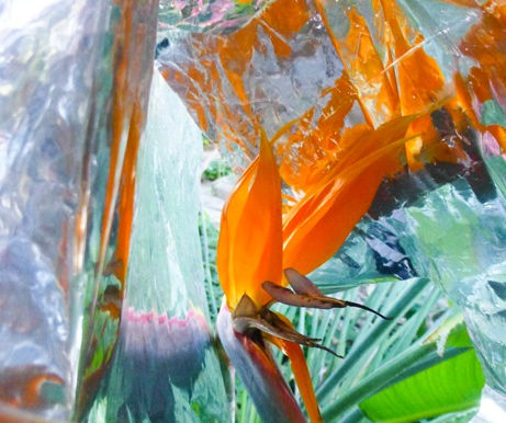 Sculpting with Light: Angel Orensanz’s Matter/Light as Luminous Poetry