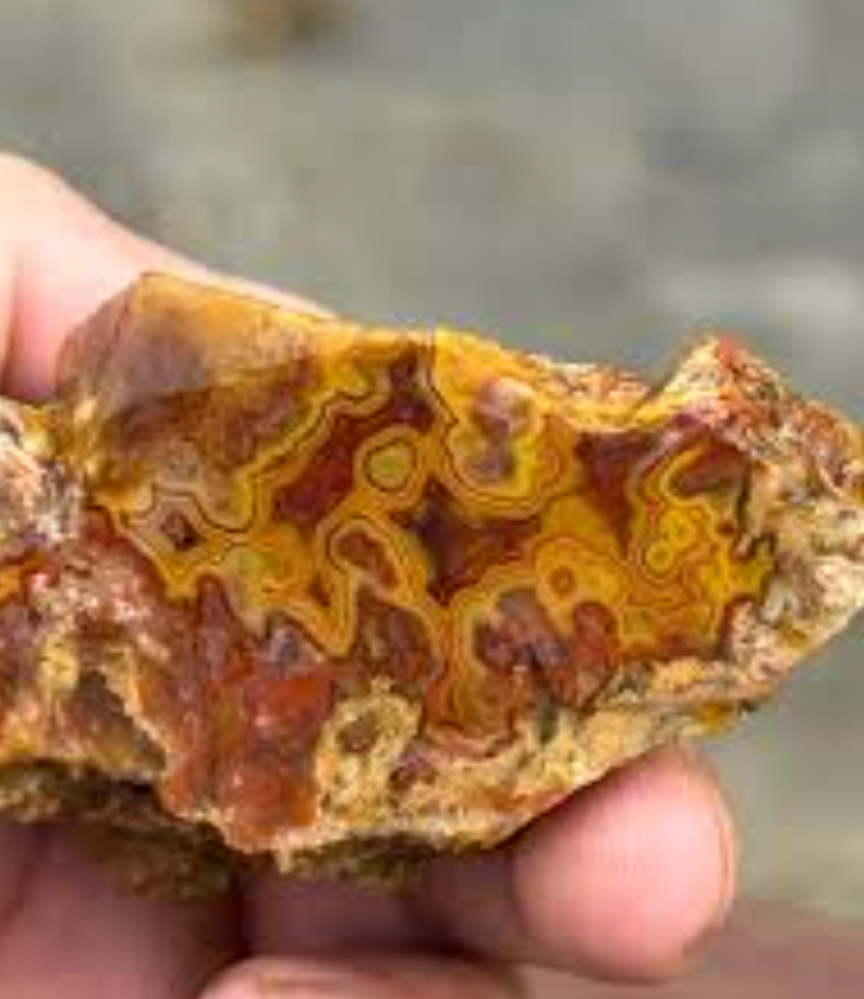 agate douglas lake tennessee