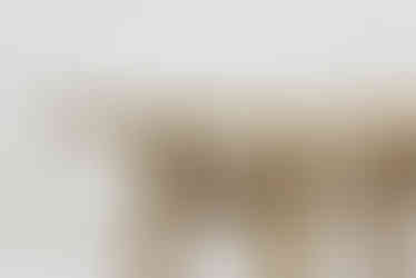a close up of a wooden table with a white background
