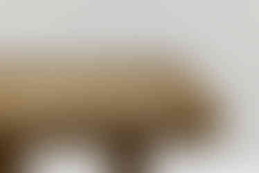 a close up of a wooden table with a white background