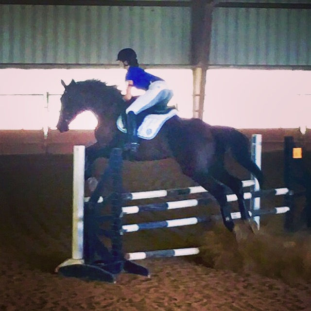 Infinite Equestrian
