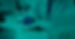 IMAGENES.jpg